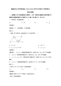 湖南省长沙市望城区2023-2024学年七年级下学期期末数学试题（解析版）