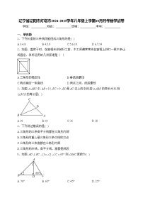辽宁省辽阳市灯塔市2024-2025学年八年级上学期10月月考数学试卷(含答案)