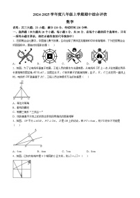 山西省吕梁市离石区多校2024-2025学年上学期期中考试八年级数学试卷(无答案)