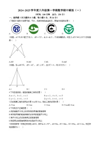 江苏省宿迁市沭阳县怀文中学2024-2025学年八年级上学期期中模拟预测数学试题