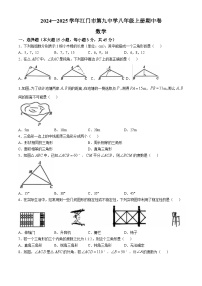 广东省江门市第九中学2024—2025学年八年级上学期数学期中卷(无答案)