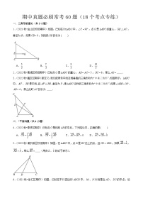 期中真题必刷常考60题（18个考点专练）（原卷版）-2024-2025学年九年级数学上学期期中考点大串讲（沪教版）