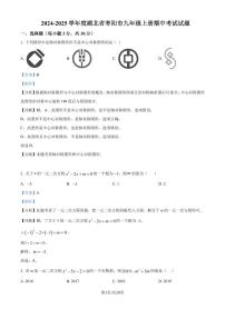 湖北省枣阳市2024-2025学年 九年级上学期数学期中考试试题（解析版）