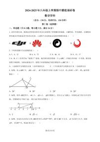 江苏苏州2024-2025学年八年级数学上学期期中摸底调研卷（原卷版）