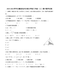 安徽省池州市部分学校2023-2024学年八年级上学期期中数学试卷