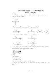 2024北京重点校初一下学期期中数学真题分类汇编：相交线（选择题）