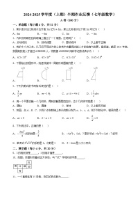 四川省成都市树德实验中学 2024-2025学年七年级上学期期中数学试卷(无答案)