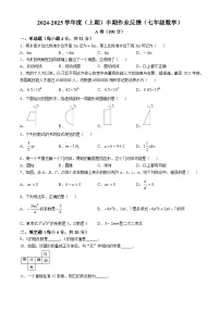 四川省成都市树德实验中学 2024-2025学年七年级上学期期中数学试卷(无答案)