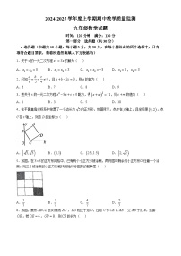 辽宁省东港市2024-2025学年九年级上学期期中教学质量监测数学试卷(无答案)