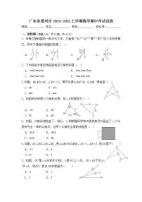 广东省惠州市2024—-2025学年八年级上学期数学期中考试试卷