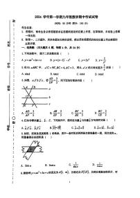 +上海外国语大学闵行外国语初级中学2024-2025学年上学期九年级数学期中试卷