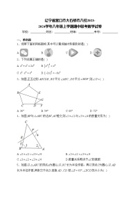 辽宁省营口市大石桥市八校2023-2024学年八年级上学期期中联考数学试卷(含答案)