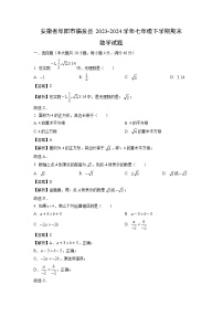 安徽省阜阳市临泉县2023-2024学年七年级下学期期末试题数学（解析版）