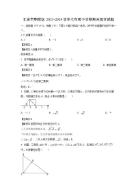 北京市朝阳区2023-2024学年七年级下学期期末试题数学（解析版）