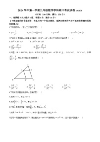 上海市普陀区2024-2025学年九年级上学期数学期中考试试卷