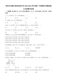 贵州省贵阳市花溪区高坡民族中学2024—2025学年九年级上学期10月期中数学试题（含答案）