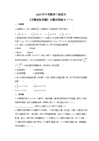 2025年中考数学二轮复习《方程实际问题》专题巩固练习（一）（含答案）