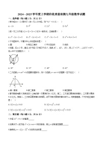 吉林省四平市 双辽市 2024-2025学年九年级上学期10月期中数学试题(无答案)