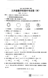 广东省汕头市潮阳区2024-2025学年九年级上学期期中考试数学试题
