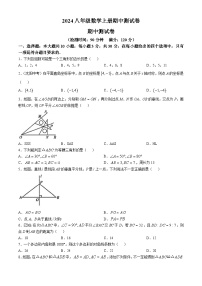 山东省枣庄市薛城区2024-2025学年八年级上学期期中测试数学试卷(无答案)