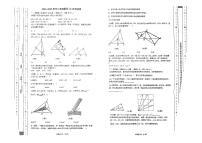 河南省漯河市第三初级中学2024-2025学年八年级上学期10月月考数学试卷