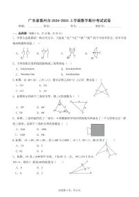 广东惠州2024年八年级上学期数学期中考试试卷+答案