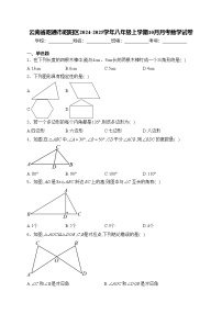 云南省昭通市昭阳区2024-2025学年八年级上学期10月月考数学试卷(含答案)