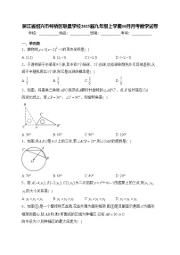 浙江省绍兴市柯桥区联盟学校2025届九年级上学期10月月考数学试卷(含答案)