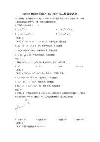 河北省唐山市丰南区2024年中考二模数学试卷（解析版）