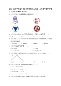 2022-2023学年四川省泸州市江阳区八年级（上）期中数学试卷