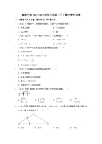 2022-2023学年广东省茂名市电白区麻岗中学八年级（下）期中数学试卷