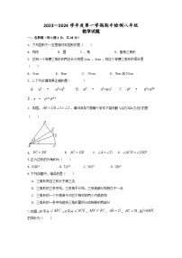 2023-2024学年山东省德州市宁津县大赵中学八年级（上）期中数学试卷