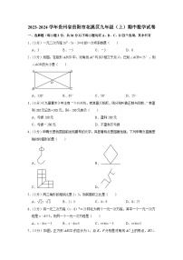 贵州省贵阳市花溪区2023-2024学年九年级上学期期中数学试卷