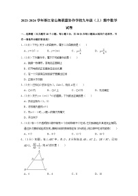 浙江省山海联盟协作学校2023-2024学年九年级上学期期中数学试卷