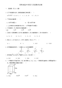 广东省深圳市深圳实验学校中学部2024-2025学年八年级上学期期中考试数学试卷