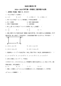 新疆哈密市第四中学2024-2025学年九年级上学期期中考试数学试卷(无答案)