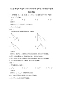 山东省潍坊市高密市2023-2024学年七年级下学期期中考试数学试卷(解析版)