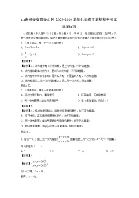 山东省泰安市泰山区2023-2024学年七年级下学期期中考试数学试卷(解析版)