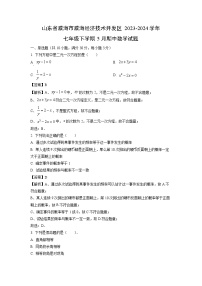 山东省威海市威海经济技术开发区2023-2024学年七年级下学期5月期中数学试卷(解析版)