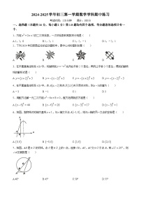 北京市十一学校2024-2025学年九年级上学期期中考试数学试卷(无答案)