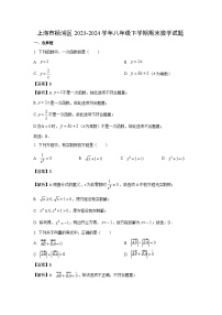 上海市杨浦区2023-2024学年八年级下学期期末数学试卷(解析版)
