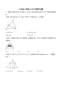 山东省聊城市东阿县姜楼中学2024-2025学年九年级上学期10月月考数学试题