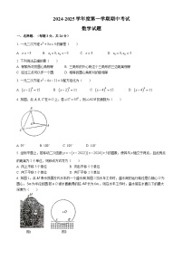 江苏省徐州市沛县第五中学2024-2025学年九年级上学期11月期中考试数学试题