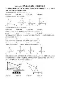 安徽省合肥市第五十中学西校区2024-2025学年上学期期中考试八年级数学试题(无答案)