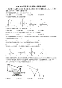 安徽省合肥市第五十中学西校区2024-2025学年上学期期中考试八年级数学试题(无答案)