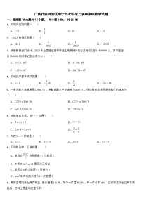 广西壮族自治区南宁市2024年七年级上学期期中数学试题【附答案】