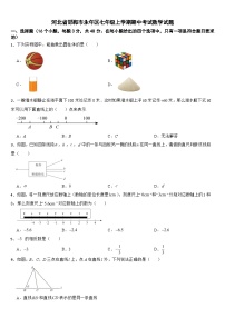 河北省邯郸市永年区2024年七年级上学期期中考试数学试题【附答案】