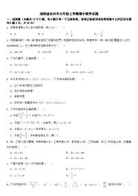 湖南省永州市2024年七年级上学期期中数学试题【附答案】