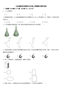 山东省青岛市城阳区2024年七年级上学期期中数学试卷【附答案】