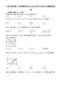 上海市曹杨第二中学附属学校2024-2025学年九年级上学期数学期中卷(无答案)